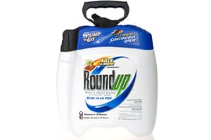 Evidence shows Damage from Glyphosate Can Last Generations