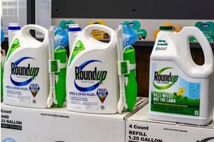 Researchers Say Roundup Linked to Liver Disease