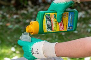 Canadian Lawsuits Allege Glyphosate Caused non-Hodgkin’s Lymphoma
