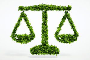 Environmental Law: An Introductory Guide