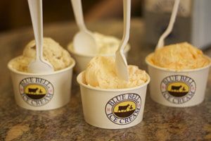 Blue Bell Ice Cream Expands Recall Over Listeria Concerns