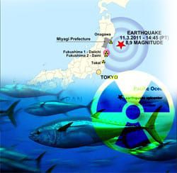 Bluefin Tuna Carry Radiation From Japan’s Damaged Nuclear Reactor to U.S. Shores