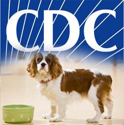 CDC Says Dog Food Salmonella Sickened 49