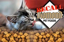 Diamond Pet Foods Issues Cat Food Recall For Salmonella