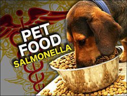 Diamond Pet Foods Recalls More Dry Dog Food for Salmonella