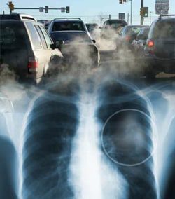 Diesel Exhaust Can Cause Lung Cancer