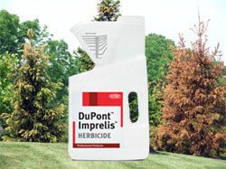 DuPont Expects to Pay Out Millions in Imprelis Tree Damage, Death Claims