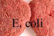 E. coli_Outbreak_Leads_to_900_Ton_Beef_Recall