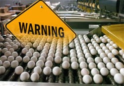 Egg Farm Warned About Salmonella Danger Ahead of Massive Outbreak