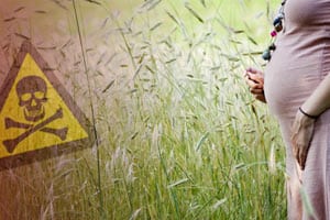 Exposure to Common Pesticide May Increase ADHD Risk