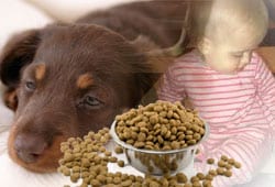 Lawsuit Claims Baby Got Salmonella From Tinted Dog Food