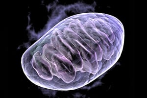Levaquin & Other Antibiotics Linked to Mitochondrial Toxicity