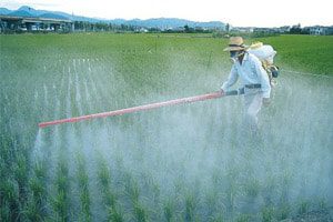 W.H.O. Declares Monsanto Herbicide Roundup a Carcinogen