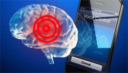 Cancer Conference Attendees Call for More Independent Study of Cell Phone – Brain Cancer Link