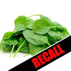 Organic Baby Spinach Recalled for Possible Salmonella