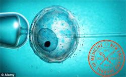 Study Links Fertility Treatments To Birth Defects