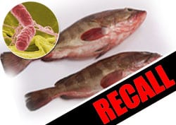 Tuna Strips Recalled for Possible Salmonella