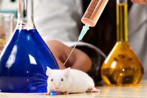 animal-testing-flawed-statin-drugs