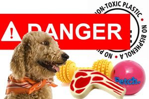 Dangerous Chemicals in Dog Toys