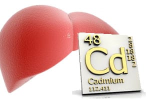 cadmium_liver_disease