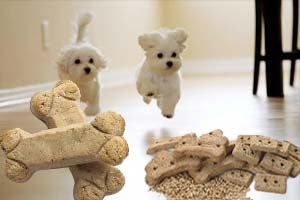 china-based-dog-treat-investigation