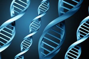 dna-testing-halted-by-fda
