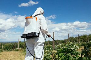Monsanto’s Herbicide Roundup the Focus of Deep Controversy