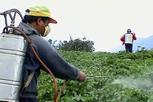 pesticide_related_birth_changes
