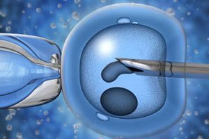 single-embryo-inseminations