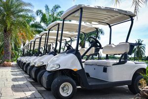Garia golf & courtesy electric vehicles and golf cart recalled