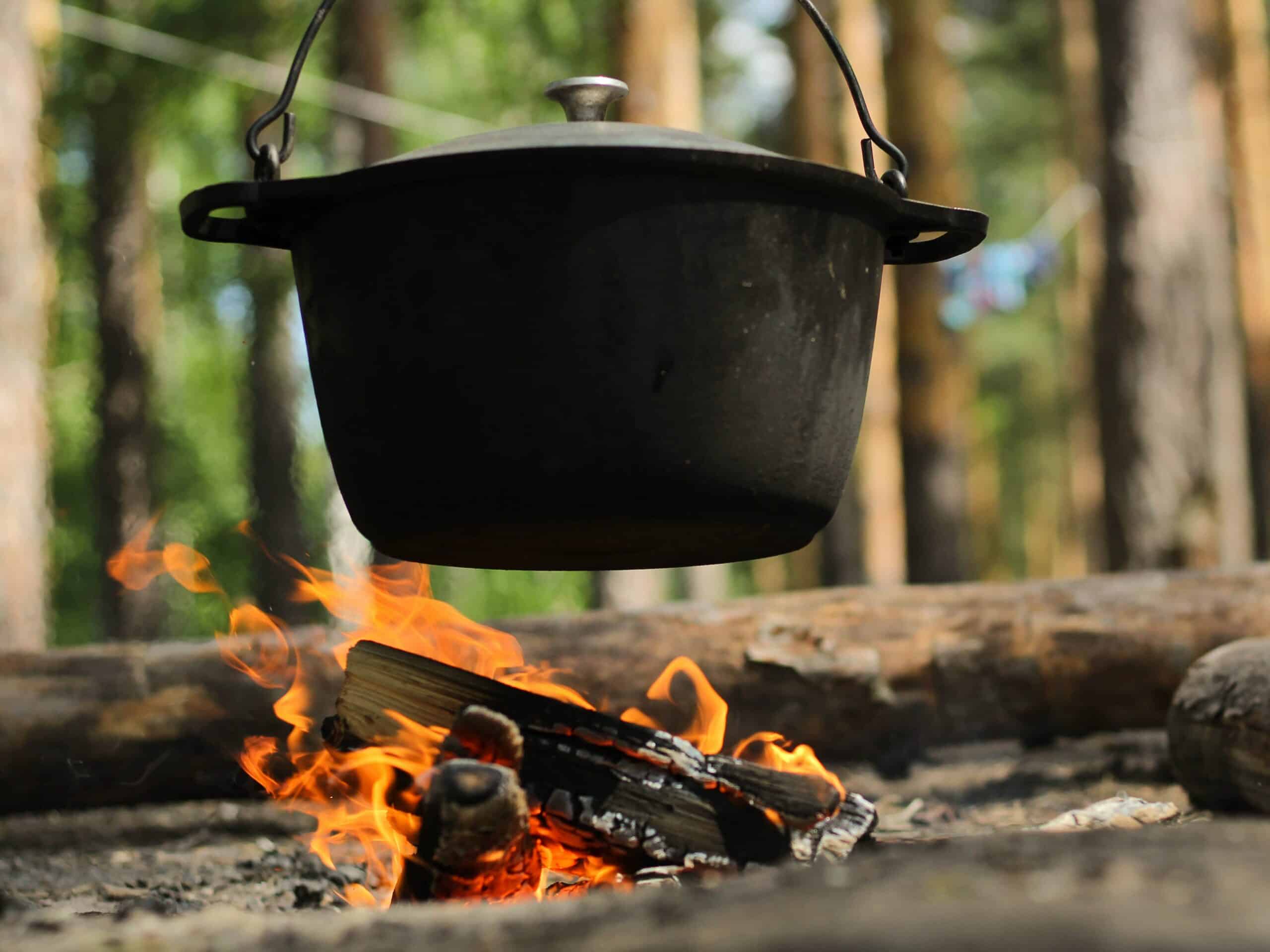 A Boy Scout's Guide to Woodfire and Dutch Oven Cooking