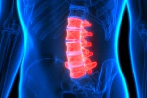 The devastating consequences of spinal cord injuries caused by auto accidents