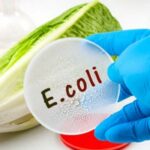 E. coli contamination prompts beef recall in md and 8 other states