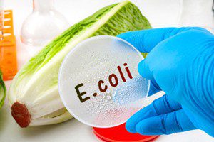 E. coli contamination prompts beef recall in md and 8 other states