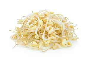 Soybean Sprout Listeria